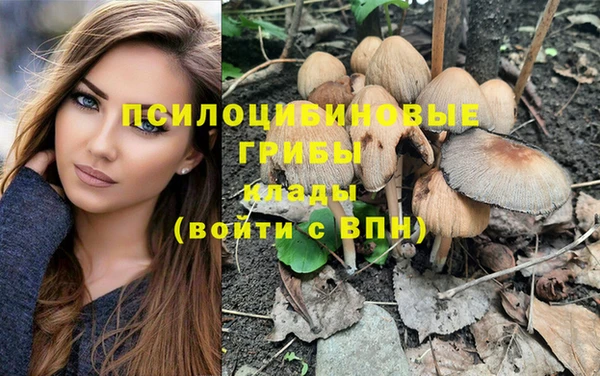 эйфоретик Пересвет