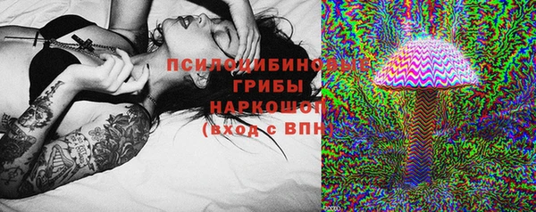 винт Осинники