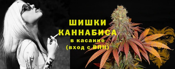 тгк Осташков